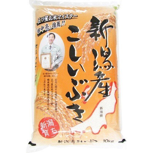 令和5年産 新潟産こしいぶき 10kg  田中米穀 米 新潟米 産地直送 こしいぶき