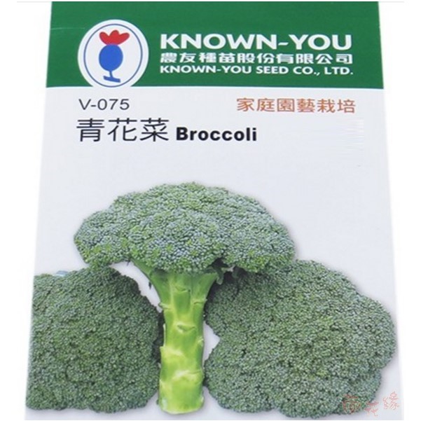 農友青花菜 綠色花椰菜 青花椰菜 蔬菜種子 蝦皮商城 Line購物
