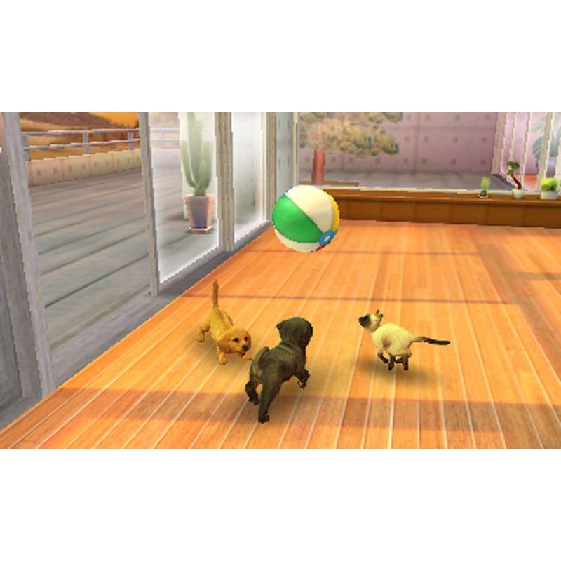 ハッピープライスセレクション nintendogs cats 柴 & Newフレンズ