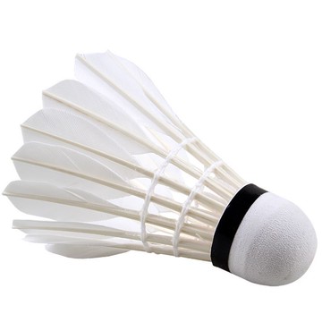 紅雙喜羽毛球12只裝耐打王不易爛鵝毛室內外比賽防風訓練用球6只