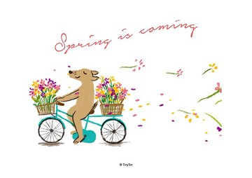 Spring is coming | A4海報