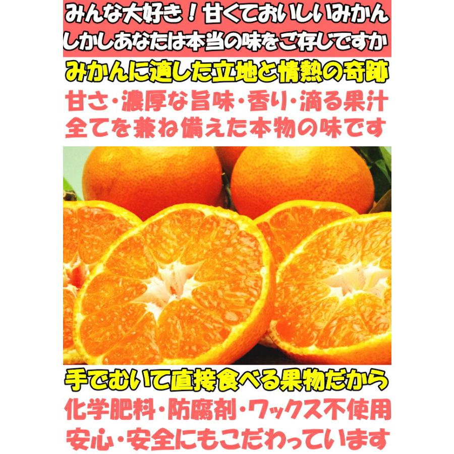 みかん 有田 訳あり 甘い 糖度 送料無料 和歌山 有田柑橘さんさん 樹上完熟 わけあり A品 早生 有田みかん 5kg 2l〜ss 家庭用 箱 買い ありたみかん 有田ミカン