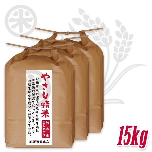 [新潟米 令和4年産] 新潟産コシヒカリ やさし精米 15kg (5kg×3袋) 低温循環精米 新潟米 お米 白米 新潟県産 こしひかり 送料無料 ギフト対応