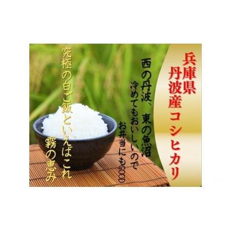 ふるさと納税 丹波産コシヒカリ 5ｋｇ×5ヶ月 兵庫県丹波市