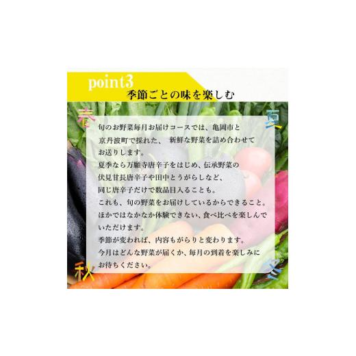 ふるさと納税 京都府 亀岡市 旬の京野菜　毎月お届けレギュラーコース（全6回）≪定期便 野菜 ふるさと納税野菜≫※沖縄・離島・諸島へのお届け…