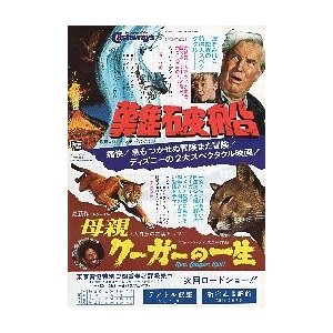 映画チラシ／難破船 母親クーガーの一生