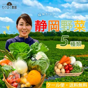 お試し お野菜 採れたて！静岡野菜セット 5品目 野菜 セット 詰め合わせ お取り寄せ 食材 ご当地 旬野菜 産地直送 新鮮 野菜詰合わ