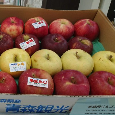 ふるさと納税 青森市 家庭用農家おススメ!旬のりんご約5kg(14玉〜20玉入り)