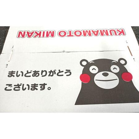 ふるさと納税  みかん 10kg (サイズ2L〜2S) 蜜柑 熊本県熊本市