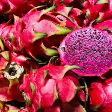 【RealShop 真食材本舖】國產紅肉火龍果  原件10台斤 8-12顆