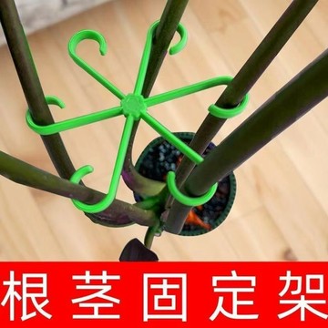 🔥臺灣出貨-熱賣中🔥植物支撐桿 固定圈 固定支架 蘭花 盆栽 花架 固定桿 園藝 資材