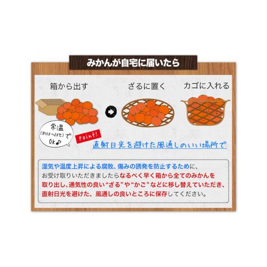 ふるさと納税 和歌山県 日高川町  温州 みかん あじ姫  約 5kg JA 紀州産直店 さわやか日高 （日高川町） 日高川町・御坊市産《2023年12月上旬-2024年1月…