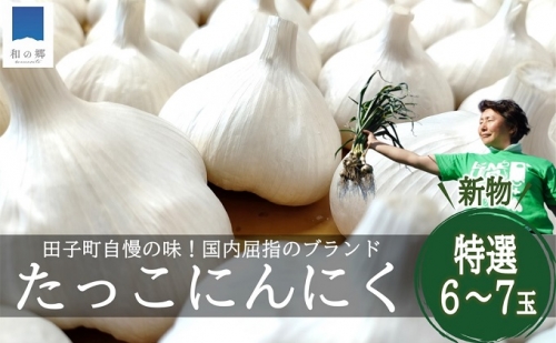 令和5年産　新物　日本一田子にんにく・特選6～7玉（ 青森県田子町産にんにくL～2L）