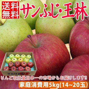 家庭消費用サンふじ・王林約5kg前後 14個～20個入 送料無料 りんご 5kg 訳あり 訳アリ 青森 産地直送 サンフジ 家庭用