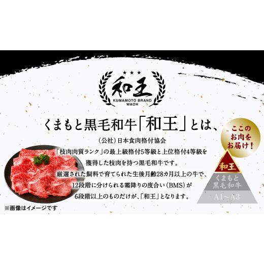 ふるさと納税 熊本県 八代市 極和王シリーズ くまもと黒毛和牛  ロース薄切り 500g 熊本県産 牛肉