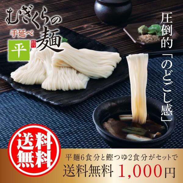 お試しセット 1000円 送料無料 むぎくらの麺 平麺 6人前 手延べ 細うどん ポイント消費 巽製粉 麦坐 OT-HT