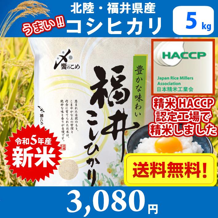 コシヒカリ発祥の地　北陸・福井県産こしひかり（水仙）5kg　送料無料(北海道、沖縄、離島は別途