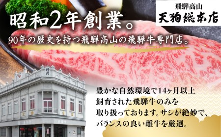 A5 飛騨牛 霜降 サイコロステーキ 300g A5等級  ステーキ 焼肉 ブランド牛 部位おまかせ 贈答 熨斗 肉 のし プレゼント 天狗総本店 日付指定不可  TR4194