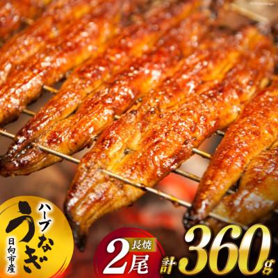 ふるさと納税 日向市 宮崎県日向市産　鰻楽ハーブうなぎ蒲焼2尾(計360g)