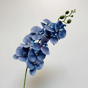 KUIBAO 快豹生活 Orchid 九頭膠片蝴蝶蘭仿真花  克萊茵蘭  6件
