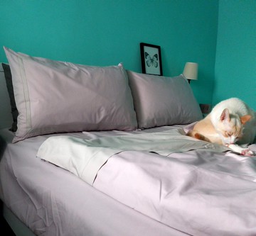 寫一首情詩100%有機棉雙人標準四件組_石英粉紅拚奶油棕