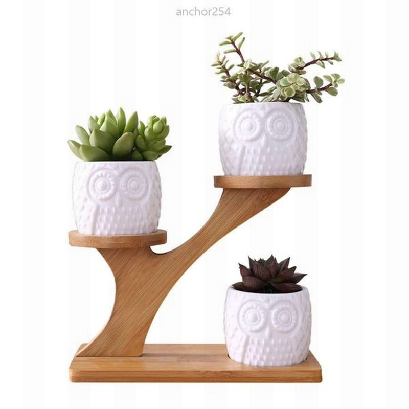 木製の飾り棚 シェルフ インテリア ポット3個セット 多肉植物 植物棚 キッチンラック 収納 ディスプレイ 観葉植物 かわいい おしゃれ 通販 Lineポイント最大get Lineショッピング