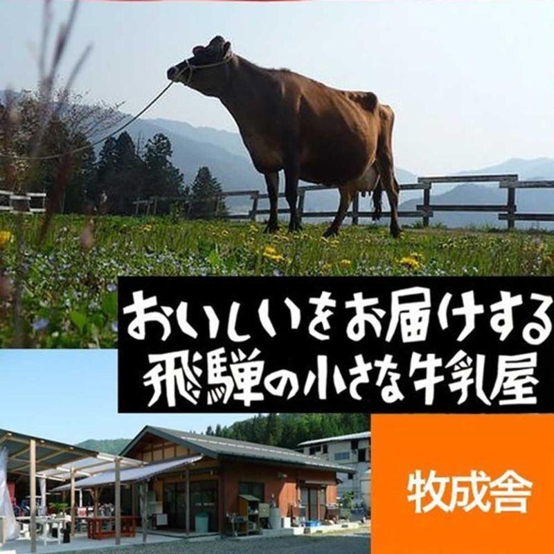 牧成舎 チーズのたまり醤油漬け 100g × 3袋 モッツアレラ チーズ しょうゆ 味 飛騨 古川 日本酒 酒 ワイン おつまみ セット