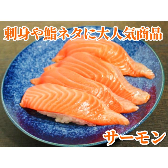 サーモン 刺身 トラウト 約10kg 冷凍 生食 手巻き 寿司 お造り 海鮮 料理 業務用 切り身 プレミアムグレード