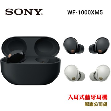 SONY WF-1000XM5 旗艦真無線藍牙耳機 銀白色 (公司貨 保固12+6個月)