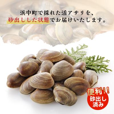 ふるさと納税 浜中町 浜中産　活アサリ500g×3袋セット