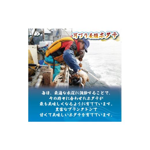 ふるさと納税 岩手県 大船渡市 帆立むき身 貝柱 約500g 1パック 冷凍 ほたて ホタテ