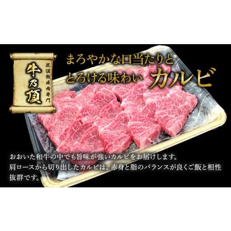 ふるさと納税 おおいた和牛 赤身カルビ250g・カルビ焼肉300g セット 牛肉 和牛 ブランド牛 赤身肉 焼き肉 焼肉 バーベキュー 大分県産 九州産 .. 大分県津久見市