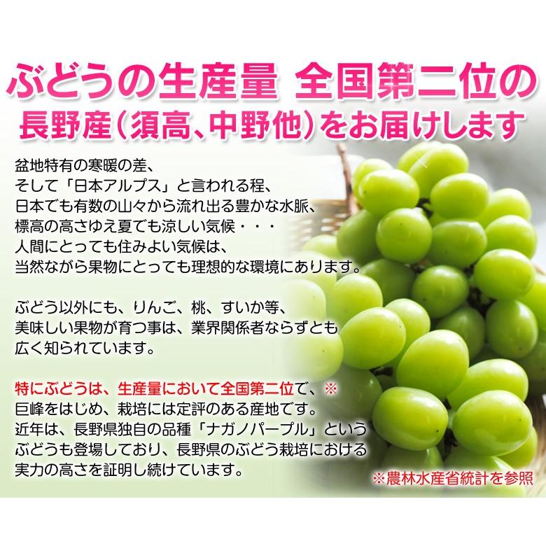 『シャインマスカット』長野県産 4房 計約1.6kg ※常温 送料無料