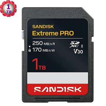 SanDisk 1TB 1T SD Extreme pro 250MB/s V30 SDSDXXJ-1T00 記憶卡