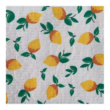 ROYALLIN 蘿林嚴選 木漿棉抹布 3入 植物纖維  19.5 x 17cm  1組