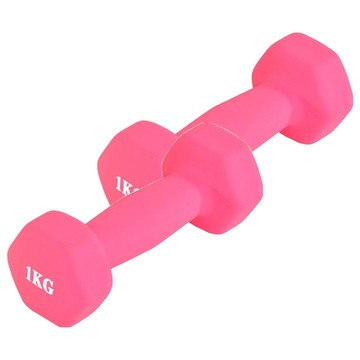 SC優選 鑄鐵包膠小啞鈴棒 矽膠防滑設計 粉色 健身啞鈴  2個  1kg