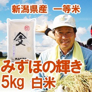 令和5年産新米 新潟県産 「みずほの輝き」 白米5kg