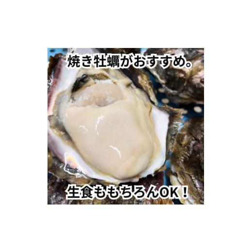 ふるさと納税 愛知県 南知多町 特大!天然岩牡蠣6コ(約5kg〜6kg・特上・殻付き生食用)CAS冷凍カキ 海鮮バーベキューBBQに