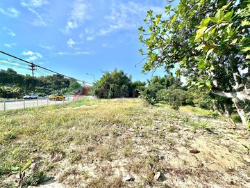 國道八新化出口｜20米臨路｜約4分6優質農地｜台南市新化區??拔林段