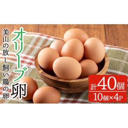 ふるさと納税 No.780 鹿児島県産美山オリーブ卵(計40個・10個入×4P) 鹿児島県日置市