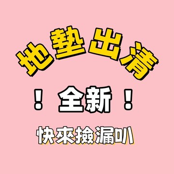 全新地墊 出清 撿漏地墊 吸水 防滑地墊 小尺寸地墊 厨房地墊 浴室地墊
