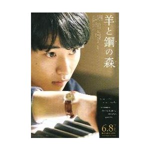 映画チラシ／羊と鋼の森　（山崎賢人）　Ａ　定型