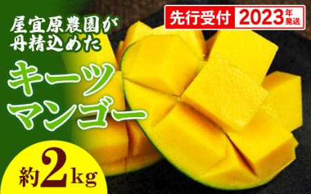 屋宜原農園が丹精込めた「キーツマンゴー」約2kg