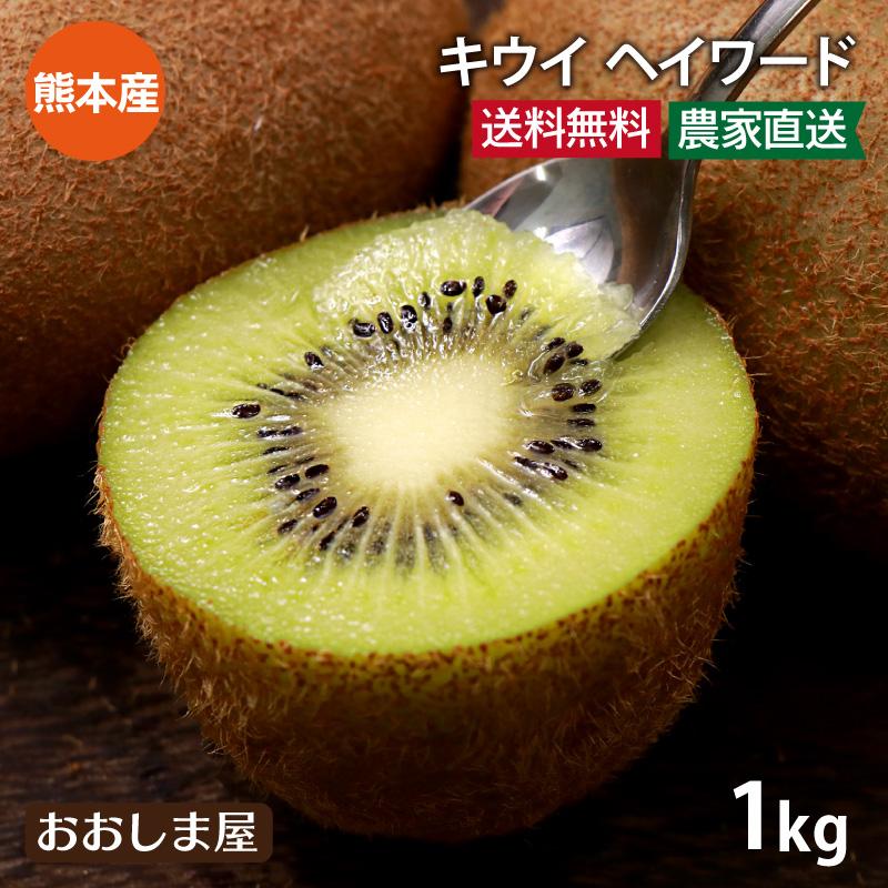 国産 キウイ ヘイワード 送料無料 1kg  グリーンキウイ 熊本産 ＜11月中旬より出荷＞ 農家直送フルーツ 果物 大嶌屋（おおしまや）