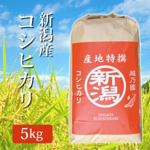 令和5年産 米 玄米 新潟県産コシヒカリ こしひかり 玄米 新米 5Kg (5キロ) 2023年度産 新潟産 コシヒカリ お米