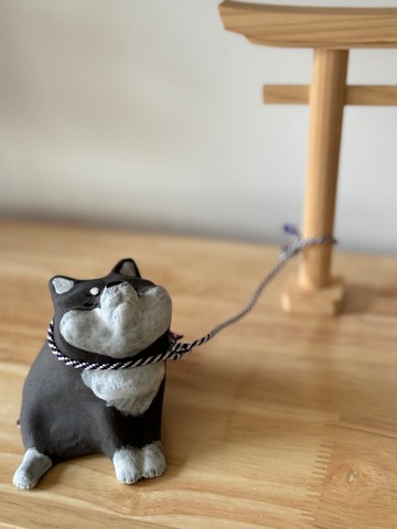 布施貓 | 不要散步的柴柴