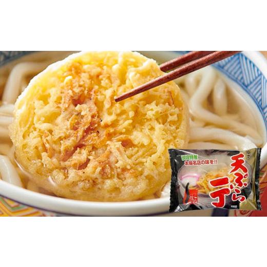 ふるさと納税 香川県 坂出市 ゆで天ぷらうどん10食（1袋：麺180g×10食）讃岐の本格派具材付き！｜うどん ゆで麺