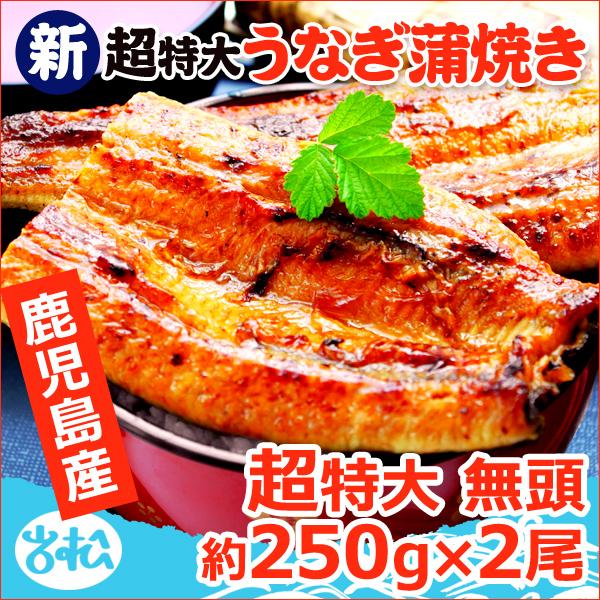 鹿児島産 新 超特大 国産 うなぎ蒲焼き 約250g×2尾 送料無料 海鮮 プレゼント グルメ ギフト