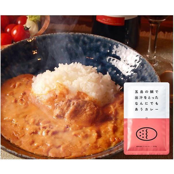 カレー ごと カレー レトルト 詰め合わせ お試し 4食セット 国産 保存料 無添加 五島 鯛のだし カレー ギフト 御歳暮 内祝い にも レトルト食品 災害 非常食