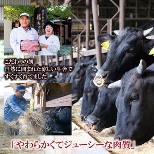 福岡県産 黒毛和牛A4ランク以上の博多和牛！ 焼肉・特選スライスセット